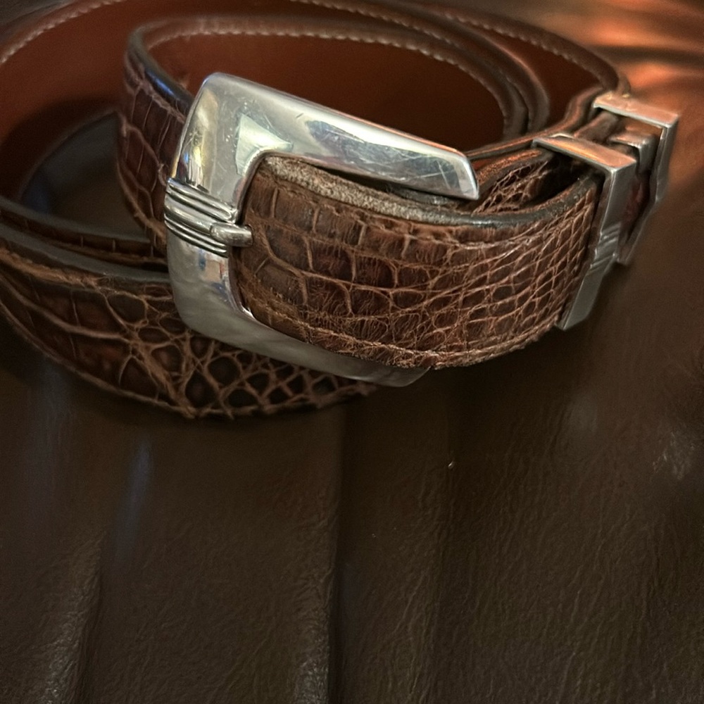 Crocodile belt set